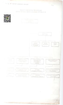 Bagan Struktur Organisasi Dinas Tenaga Kerja Daerah Tingkat II